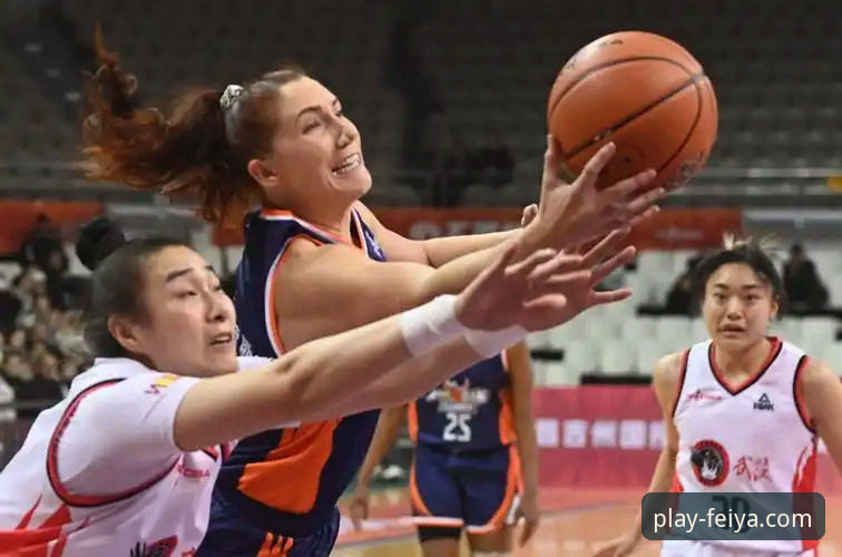 飞亚体育官方正版 从一场17分大胜,剖析飞亚体育平台提供的3种深度观赛视角