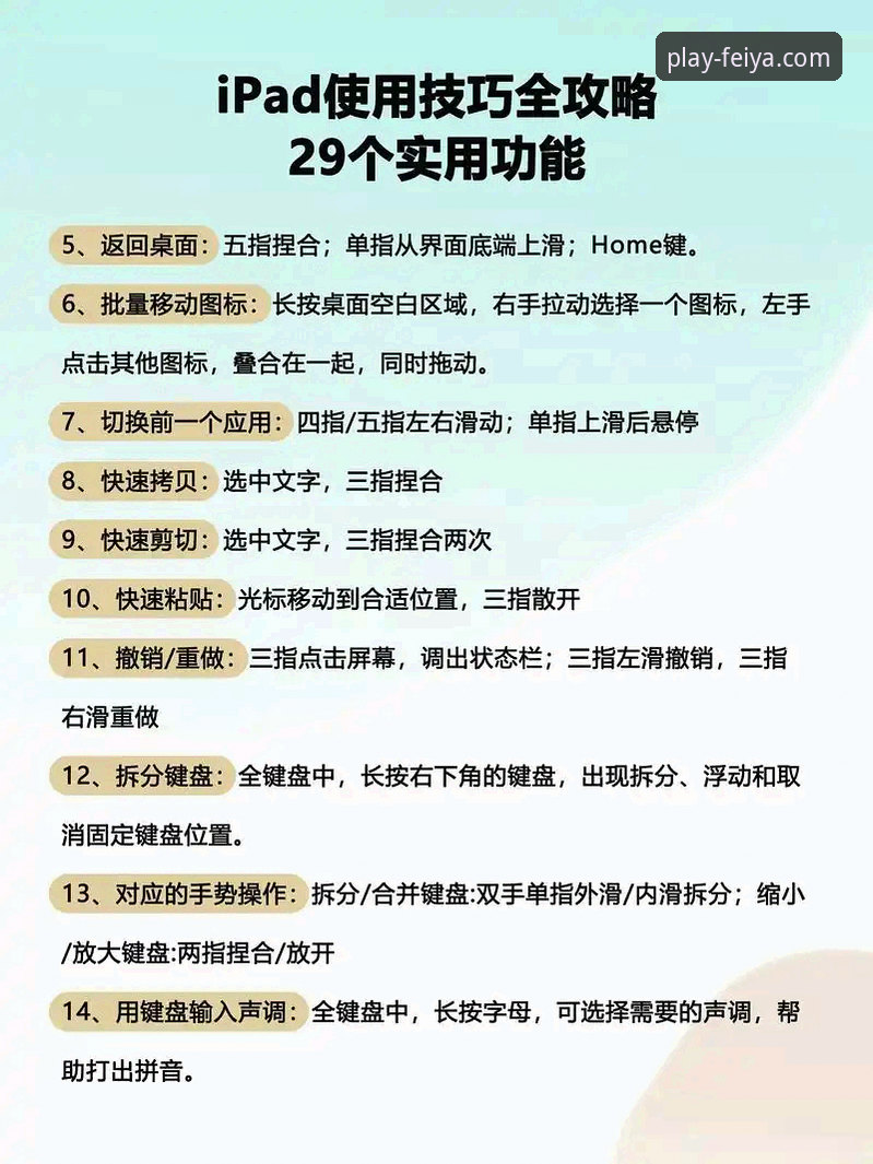 飞亚体育平台高效使用实用指南：从下载到自定义推送的必备知识
