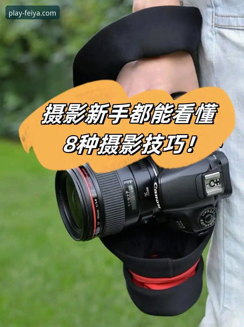 深度揭秘飞亚体育应用下载功能：老用户亲测的隐藏玩法与实用技巧